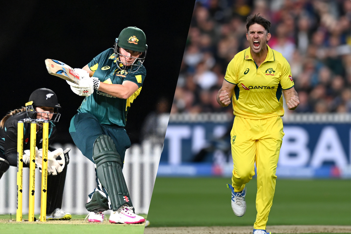 Domestic Cricket Main Image