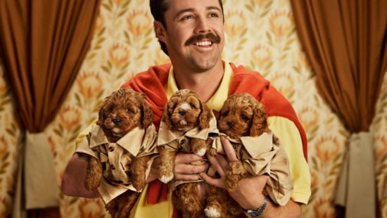 Travis Head DOGS
